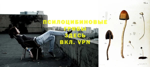 скорость Козловка