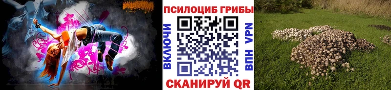Купить где Орёл Псилоцибиновые грибы GOLDEN TEACHER